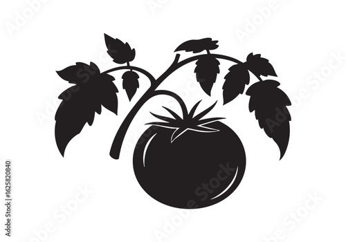 Black and white silhouette of a fresh ripe tomato with leaves and stem healthy garden vegetable food ingredient
