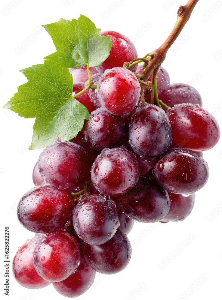 Fototapeta premium Close-up of a bunch of plump, red grapes with green leaves attached to a vine. Water droplets are visible on the grapes