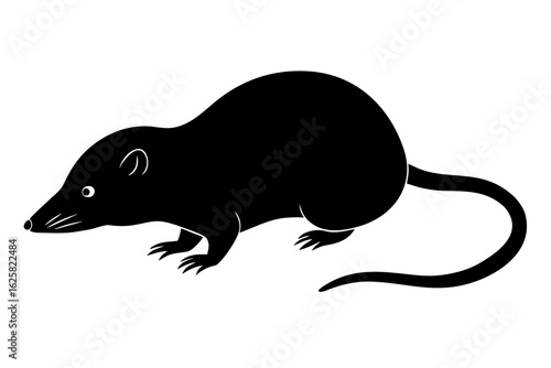 Dark rodent animal mammal rat mouse creature critter silhouette vector illustration