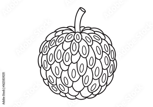 Detailed Line Art of Custard Apple for Coloring Books and Educational Materials Ready for Creative Designs
