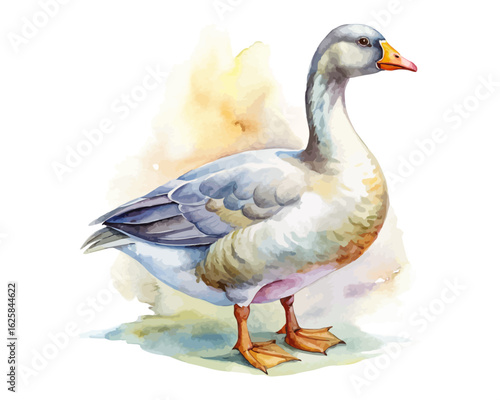 watercolor goose vector illustration isolated on white background