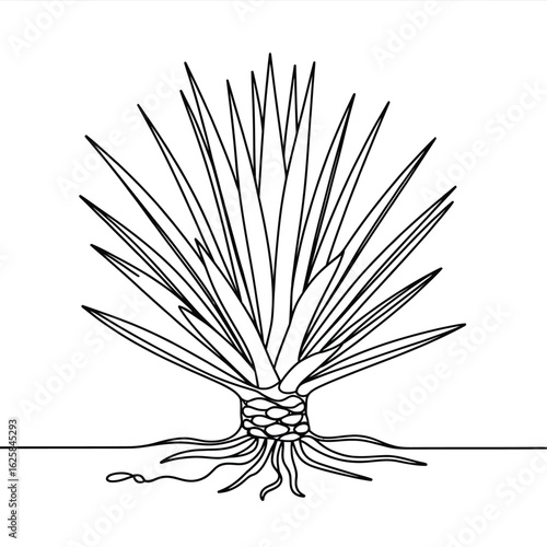 Stylized line drawing of an agave plant with visible roots