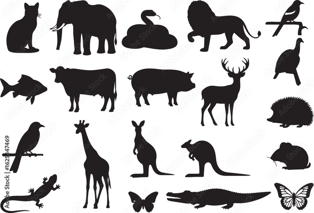 Fototapeta premium Black animal silhouettes collection elephant snake, cat, elephant, snake, lion, bird, fish, cow, pig, deer, hedgehog, lizard, giraffe, kangaroo, crocodile, butterfly, mouse, black, white, silhouette, 