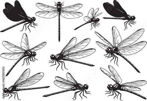 Black dragonfly illustrations various poses insect, dragonfly, insect, black, white, illustration, silhouette, wing, nature, flying, detailed, pattern, graphic, design, creature, arthropod, entomology