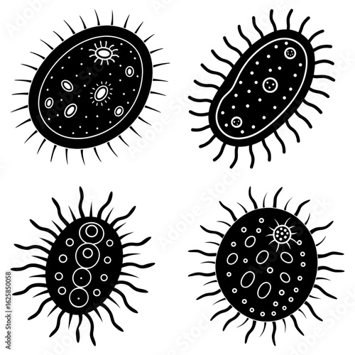 Illustration of four black and white microbes with different internal structures and outer projections