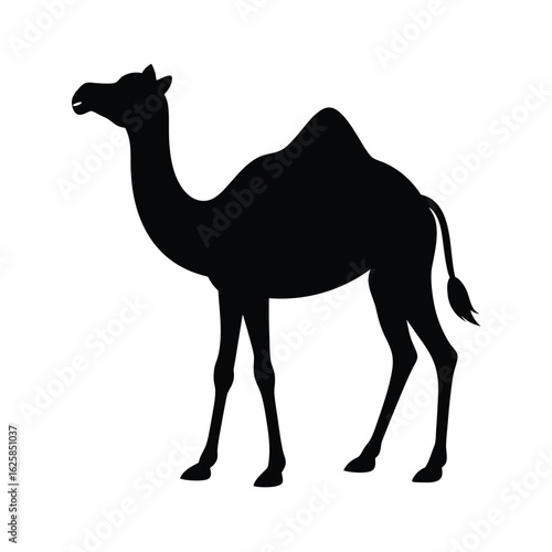 camel cartoon illustration