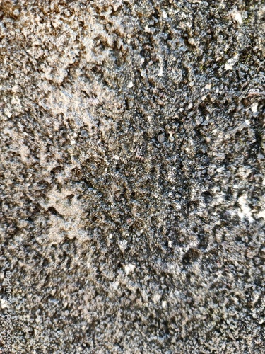Rough Mossy Concrete Texture with Black and Gray Details
