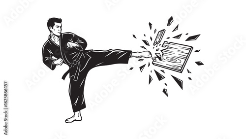 Martial Arts Silhouette Power Kick Karate Master Breaking Board with Precision Discipline Strength