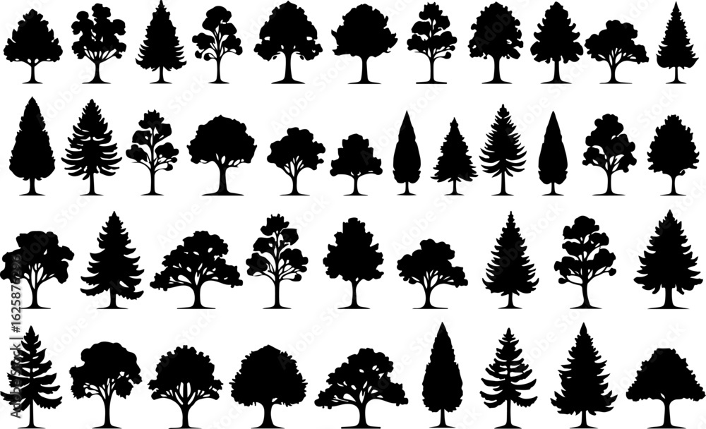 Fototapeta premium Tree Silhouettes, Forest Shapes, Pine Trees, Oak 