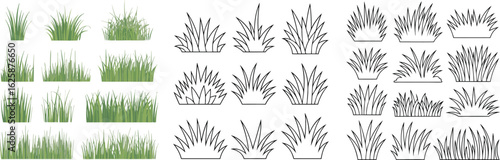 Illustration of Green Grass Tuft Variations, Including Colored and Outline Versions, on White Background