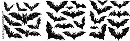 Silhouette Bat Illustration Featuring Flying Mammals with Wings for Halloween or Gothic Art