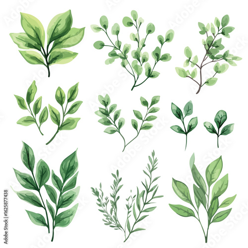 Green Watercolor Floral Leaves Set