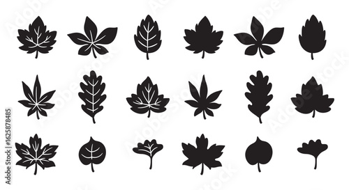 Fall maple leaves silhouette vector illustration set.