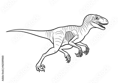 Dynamic Velociraptor dinosaur illustration with sharp claws and determined stride, ready for action