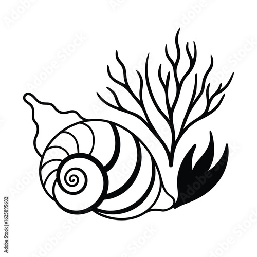 oceanic snail shell and seaweed on white background