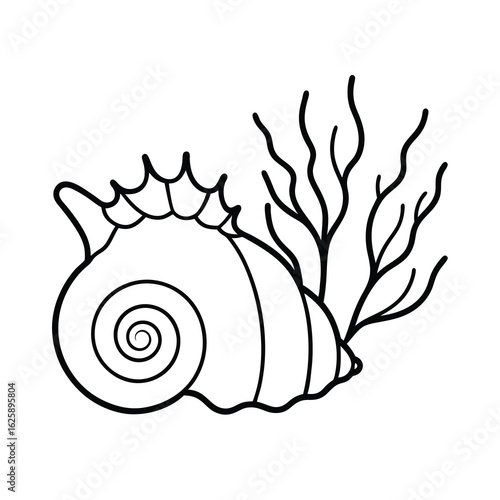 oceanic snail shell and seaweed on white background