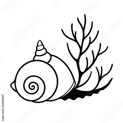 oceanic snail shell and seaweed on white background
