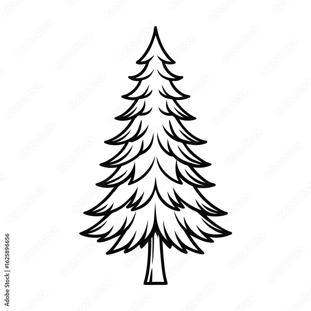 Fototapeta premium pine forest tree vector on white background