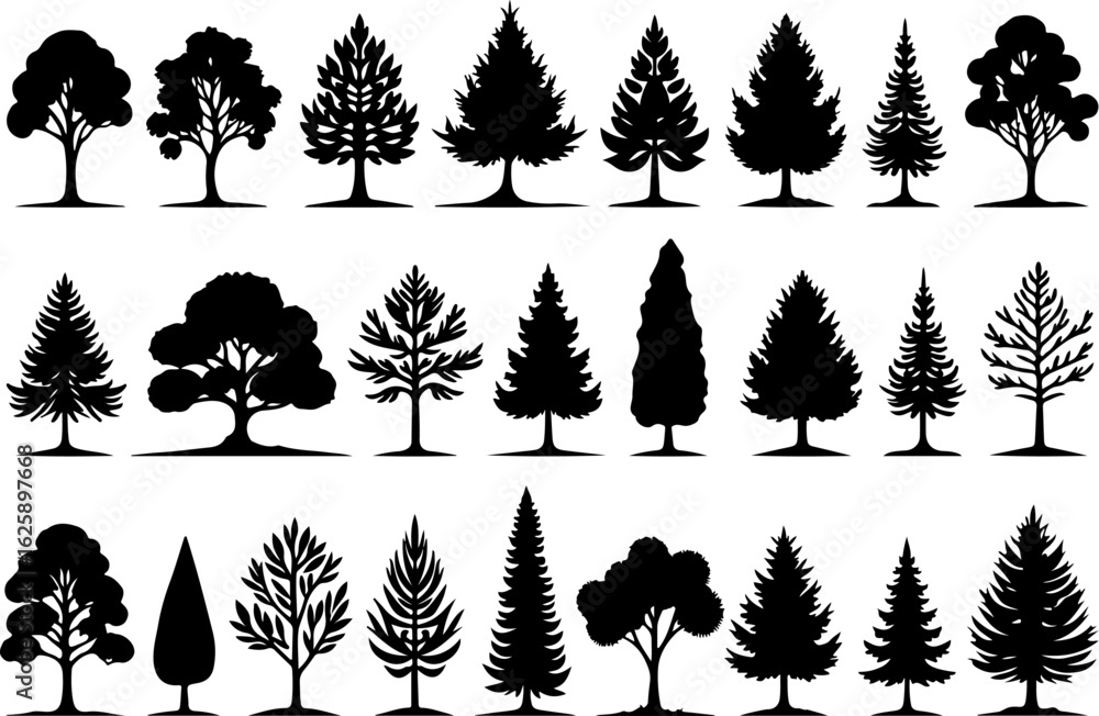 Obraz premium Tree Silhouettes, Forest Shapes, Pine Trees,