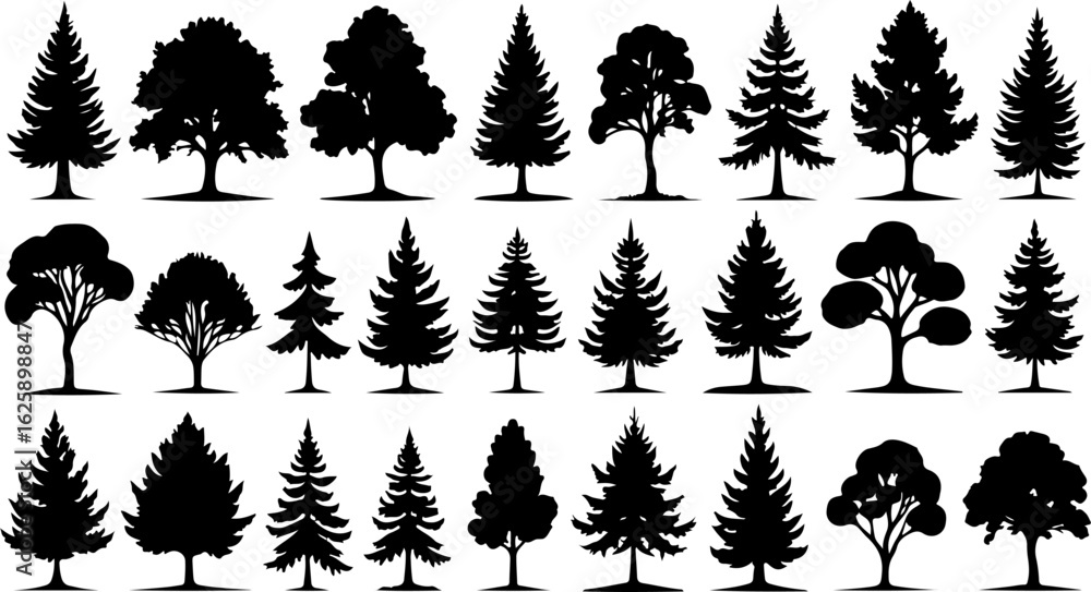 Fototapeta premium Tree Silhouettes, Forest Shapes, Pine Trees,
