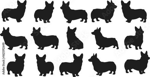 Corgi dog silhouette in various poses, black vector shape, pet icon set, graphic illustration for animal design, playful style
