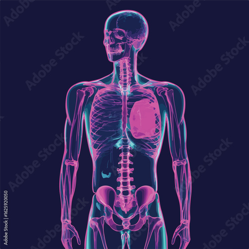 Human Body X-Ray Background Space