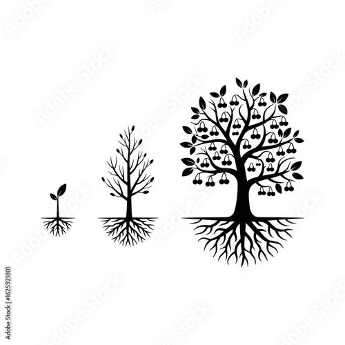 Tree Growth Stages: A graphic representation shows the life cycle of a tree from seed to full growth with root structure. The life cycle is from seed to sapling to a large tree full of fruits.