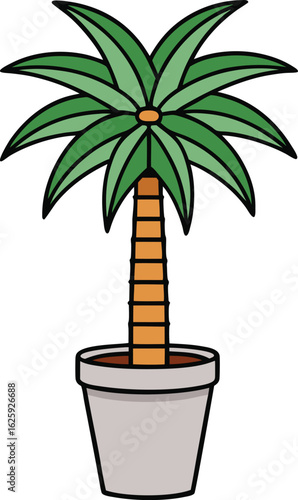 Potted palm tree illustration
