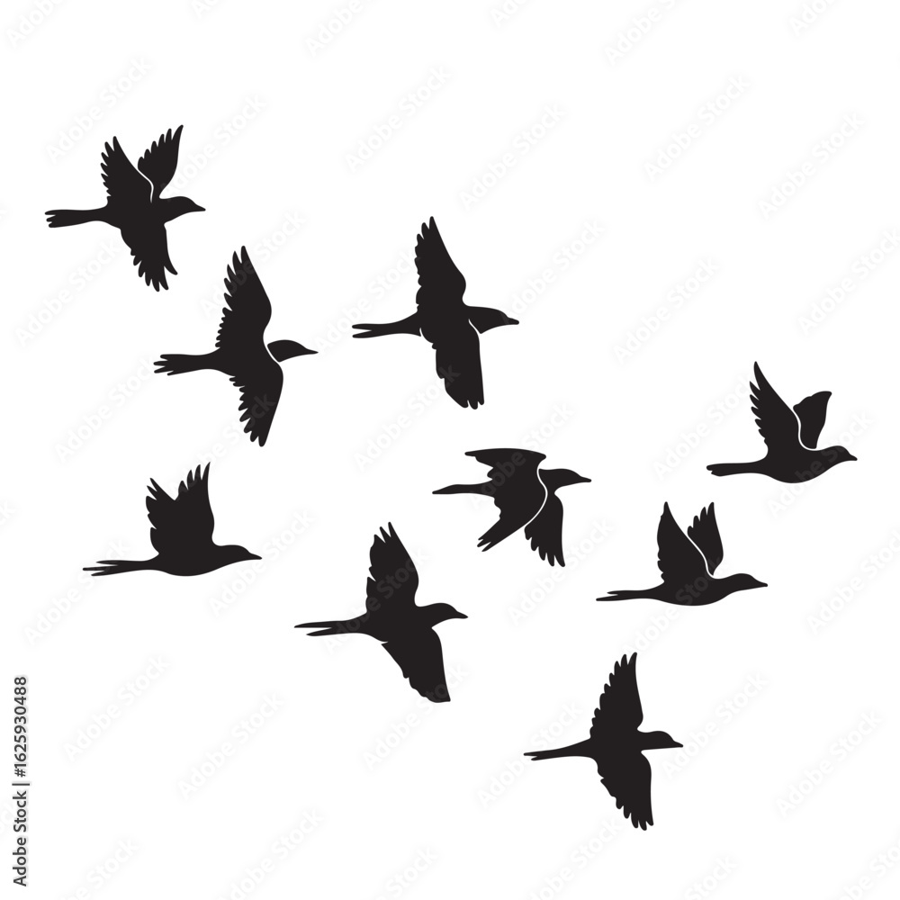Obraz premium vector silhouettes of birds