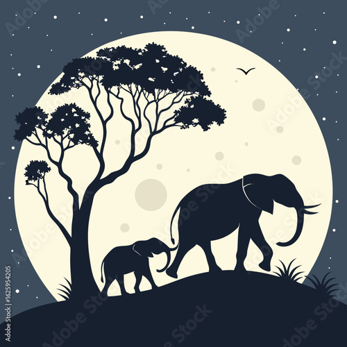 Photography elephants in the night