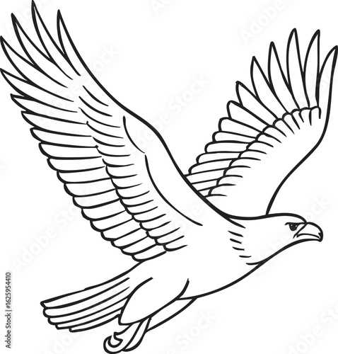 Flying eagle line art illustration