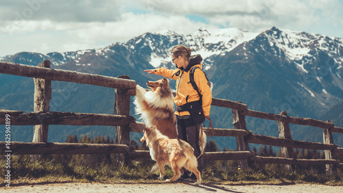 Frau mit 2 rough Collies sable in den Bergen von Südtirol in Italien schauen auf die Berge beim wandern