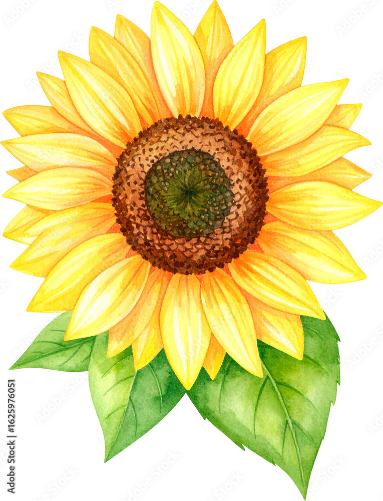 Fototapeta premium 해바라기