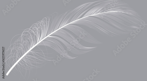 Single white feather floating on a gray background, creating a delicate and elegant composition, ideal for backgrounds, textures, and design elements