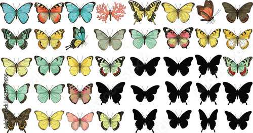 Colorful butterfly collection, nature illustration, insect study, vibrant wings, entomology art, species identification, educational resource, vibrant colors, wildlife, biodiversity