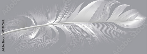 Elegant white feather with delicate, intricate details, gracefully floating against a neutral gray backdrop, creating a serene and minimalist composition