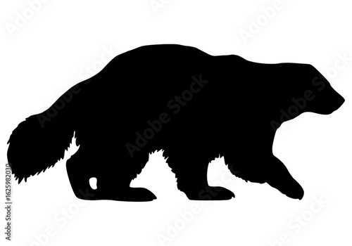 Vector Silhouette Of A Wolverine.