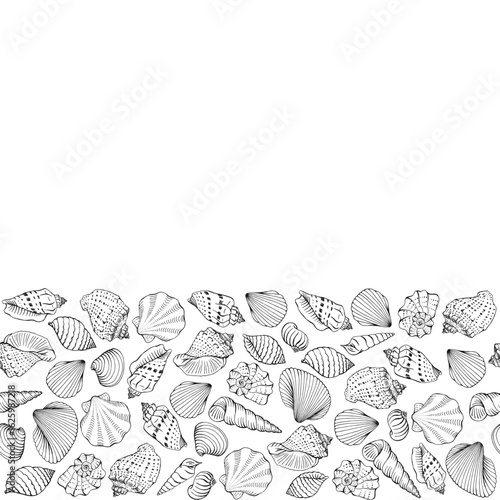 Frame with seashells with copy space for design or message.  Hand drawn