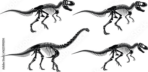 Cad Drawing Vector Illustration, Dinosaur Skeleton Silhouettes, Tyrannosaurus and Sauropod Species, Educational Prehistoric Pack, Fossil Graphic Icons