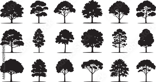 Various deciduous trees silhouettes on the white background