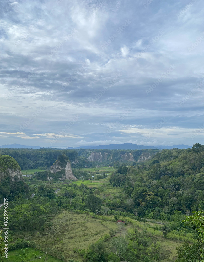 Fototapeta premium Scenic valley with lush forest, rocky hills, and cloudy sky in tropical landscape
