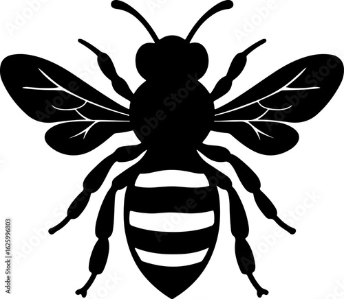 Detailed black silhouette of a honey bee with striped abdomen and intricate wings in a top down view silhouette