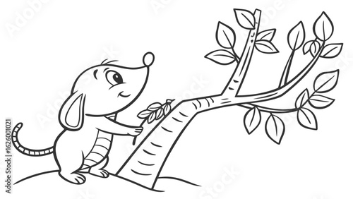 Cute cartoon animal, cute zoo pictures, coloring book pages for kids. Isolated line art on a white background