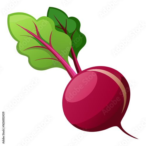 Beetroot Vector Art Icon for Healthy Organic Root Vegetable and Natural Food Design

