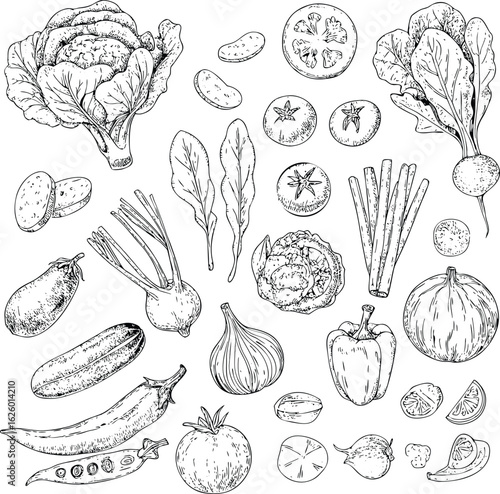 Collection of hand drawn vegetables in a scattered arrangement featuring a variety of fresh produce items in a sketch style
