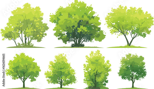 Evergreen Foliage Collection: An artistic array showcasing the vibrant allure of lush green trees in full bloom. Each tree, meticulously illustrated, encapsulates the essence of growth, life.