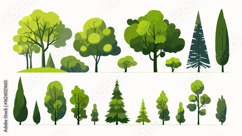 Varied Forest Illustration: An illustrative array of diverse tree forms and vegetation, with varying shapes and textures, set against a clear backdrop.