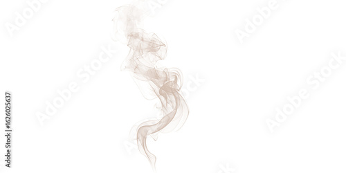 A blurry figure with a light color on a black background, appearing to be smoke or a ghostly shape