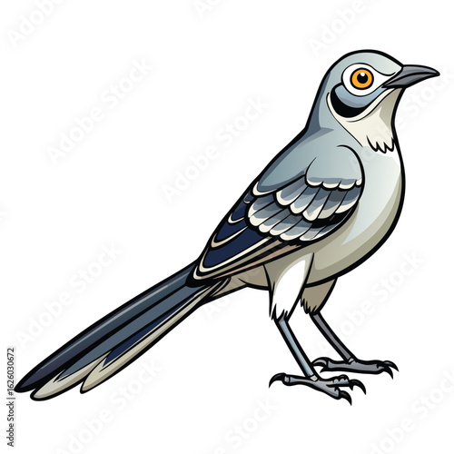 vector illustration of a bird