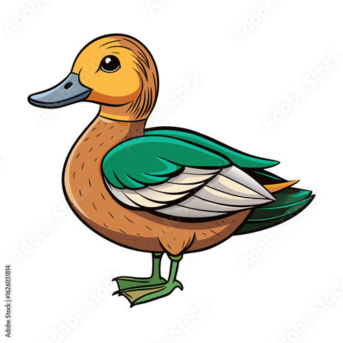 duck on a white background